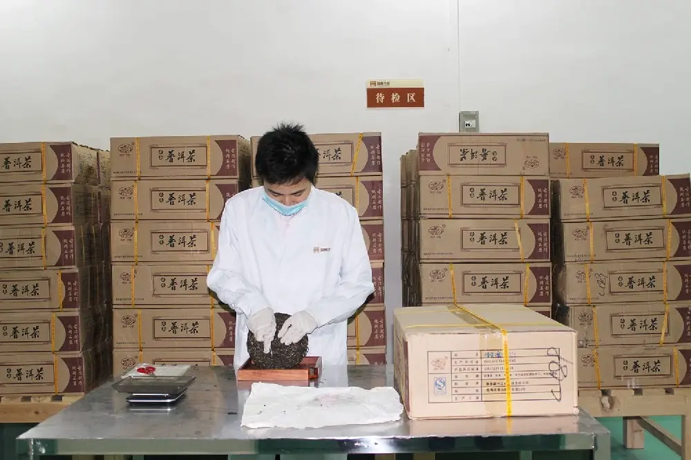 山西普洱茶检验展示